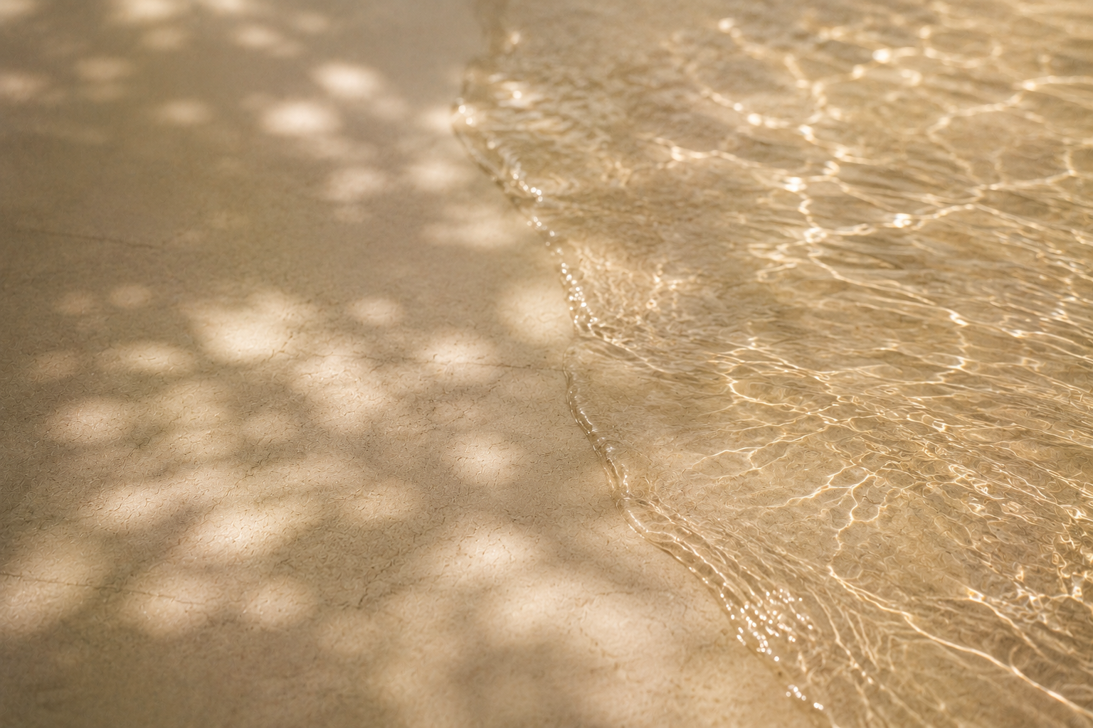Wellness Travel & Experiences